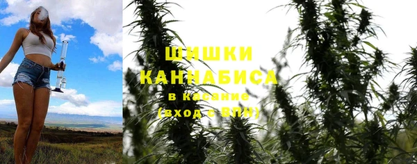 ешки Алексин