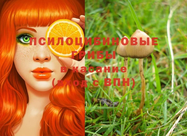 экстази Алзамай